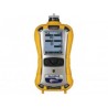 RAE Systems MultiRAE Lite Gas Monitor